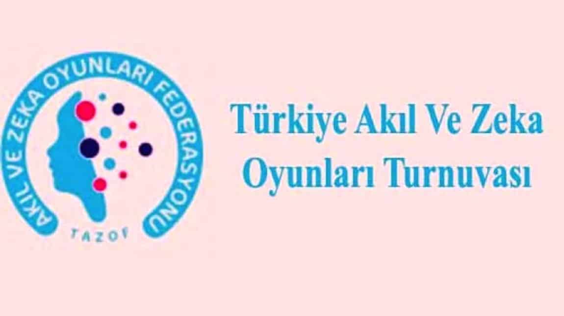Türkiye Akıl ve Zeka Oyunları Turnuvası